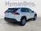 2025 Toyota RAV4 LE AWD (Natl)
