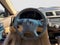 2005 Honda Accord Hybrid V6 IMA Auto