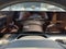 2026 INFINITI QX80 Luxe 4WD