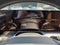 2026 INFINITI QX80 Luxe 4WD
