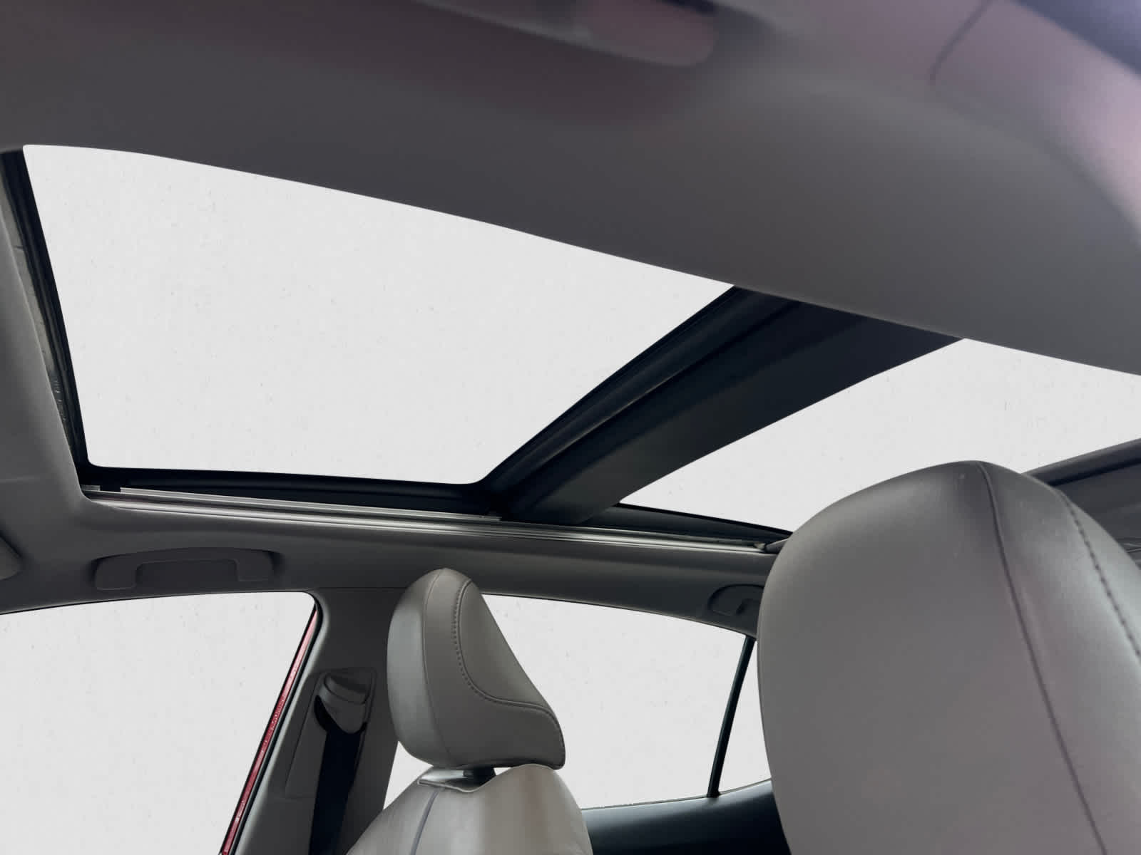 2019 Toyota Camry XSE Auto (Natl)