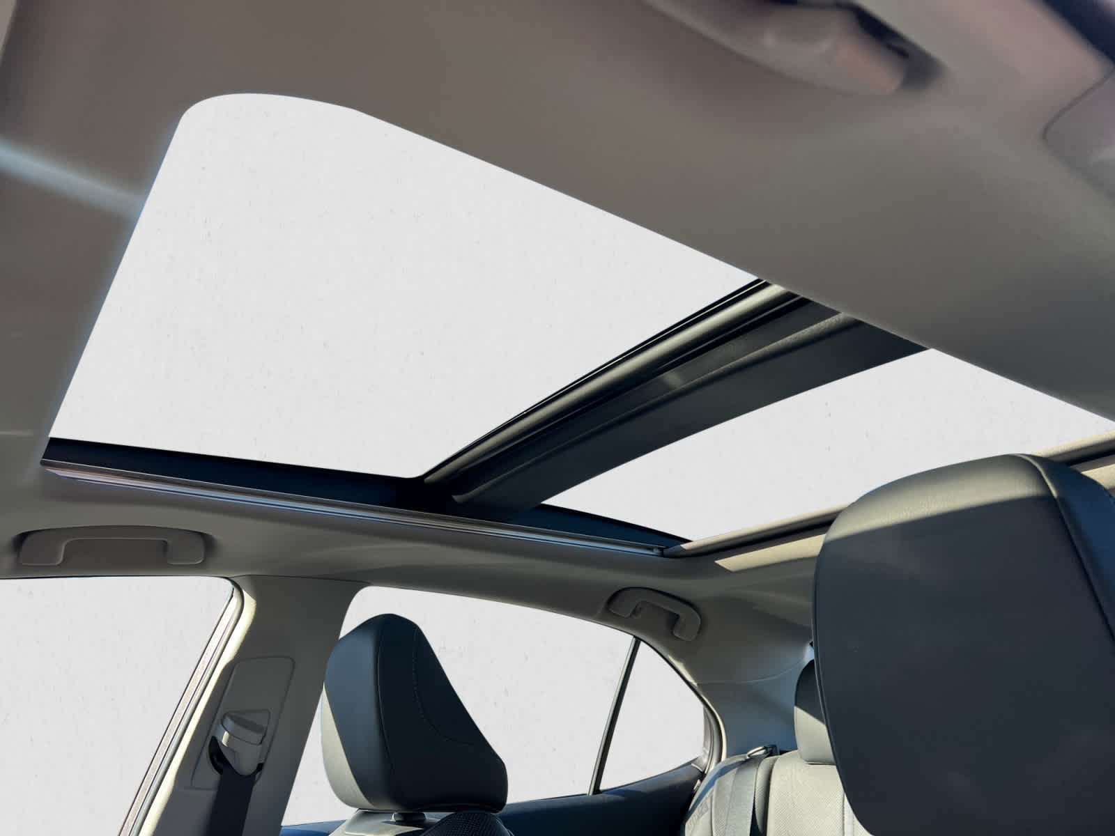 2021 Toyota Camry XLE Auto (SE)