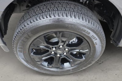 2023 Ford F-150 SuperCrew 4WD | FX4, STX Black Appearance